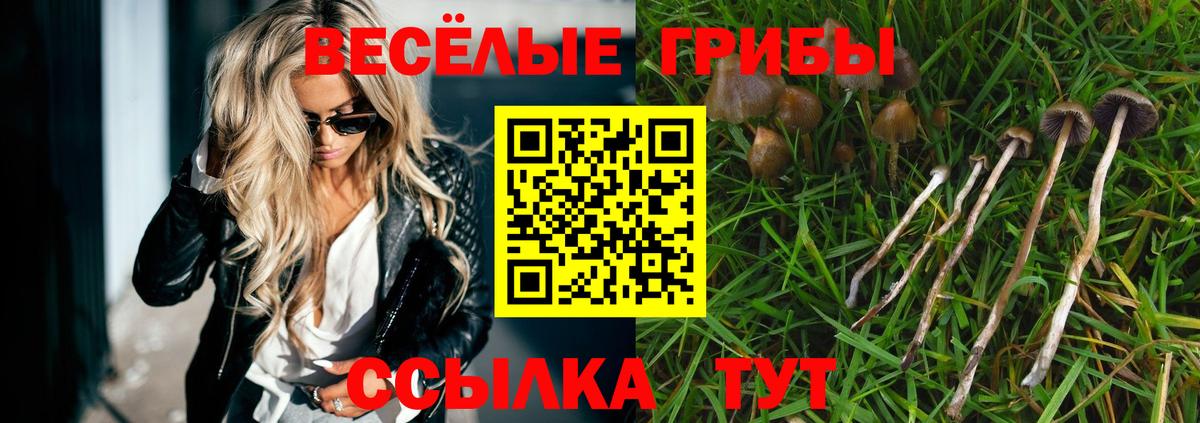 Пушкино  Галлюциногенные грибы Magic Shrooms  Вход с VPN 