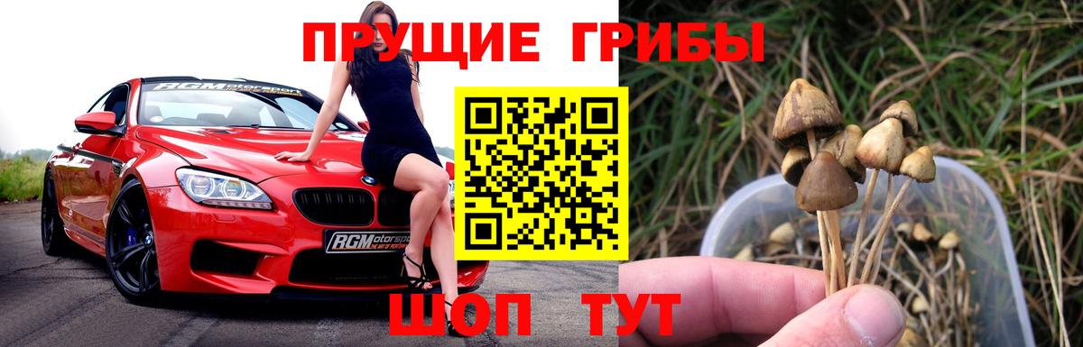 Галлюциногенные грибы мицелий Пушкино